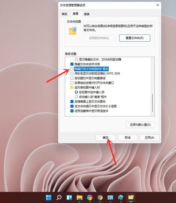 Win11如何修改文件后缀名