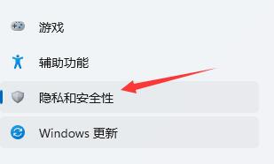 Win11如何进行隐私设置？