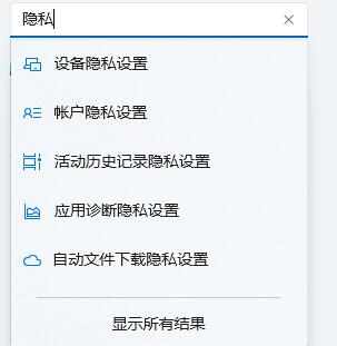 Win11如何进行隐私设置？