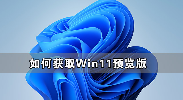 如何获取Win11预览版