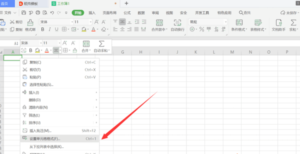 WPS在Excel的一个单元格内输入两行或多